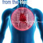 Thinking from the Heart – Heart Brain Science